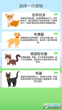 ���������°�