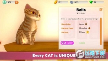 我的猫舍手游最新版 我的猫舍手游最新版