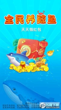 ȫ��������4����������