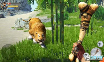 ��Ұ��������