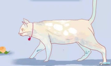 ���ܵ�è��Ϸ