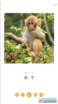 ���������app