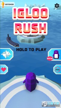Igloo Rush大量货币最新版 Igloo Rush大量货币最新版