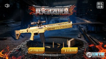 ��ʵ����ƴװ�ֻ���