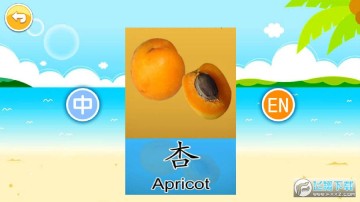 �������������Ƭ