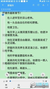 ����app�����