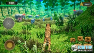 飞行虎大量金币版 飞行虎大量金币版