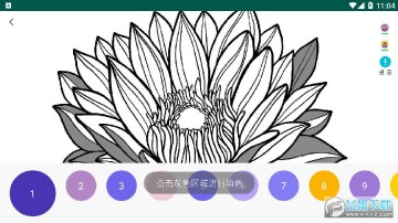 ������ɫ�汾