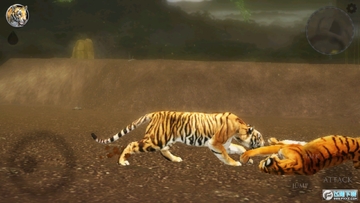 �ռ��ϻ�ģ����2������