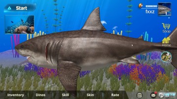 巨齿鲨模拟器修改版 巨齿鲨模拟器修改版