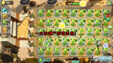 ֲ���ս��ʬ24399��