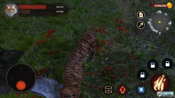 ����֮�����޽�Ұ�