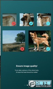 Dog Scanner����������ȫ������