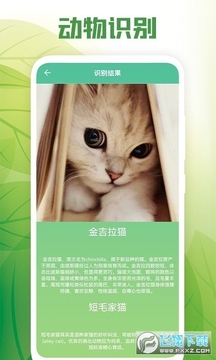 ���ܰٿ�app