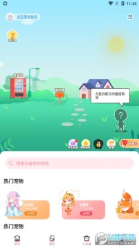 �����������app