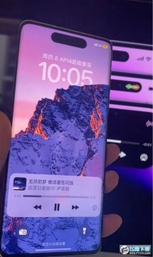 vivo�鶯��