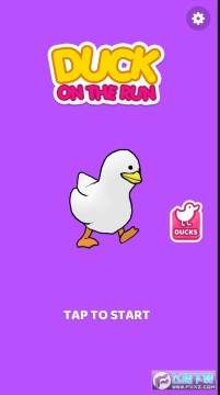 鸭子快跑DuckontheRun 鸭子快跑DuckontheRun