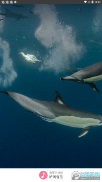 听听音乐改版 听听音乐改版