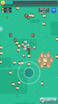 狂欢动物岛最新版 狂欢动物岛最新版