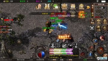 ǬԪ�������޵��ٷ���