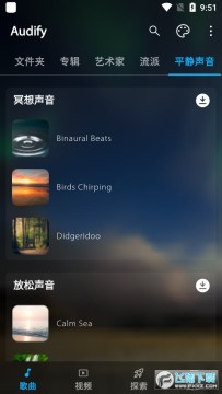 Audify Musicרҵ�汾