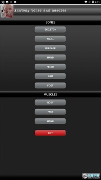 肌肉激痛点 肌肉激痛点