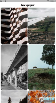 backpaper��ֽ����