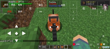 �ҵ�������������ģ�������ֻ��氲װ