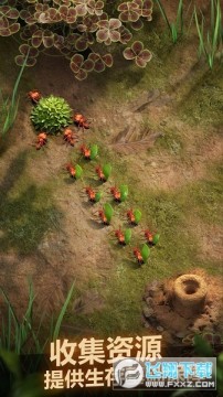蚂蚁地下王国破解版 蚂蚁地下王国破解版