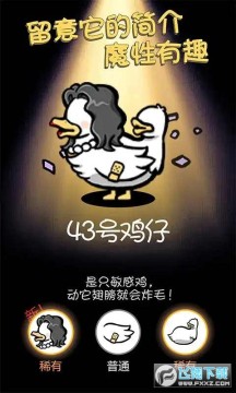 小鸡真奇怪 小鸡真奇怪