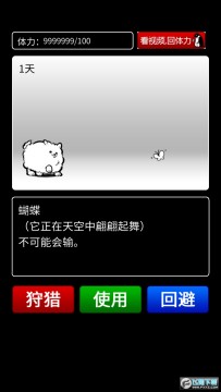 ���������Ӯ����������