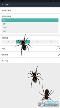 SpiderinPhone֩�����ֻ�����