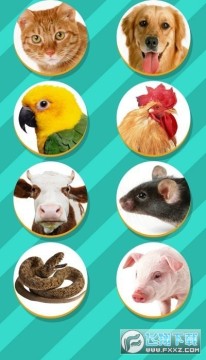 Pet TransIator�˳轻����