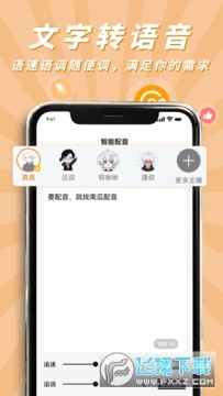 �Ϲ�����