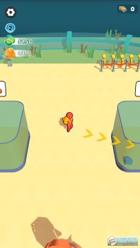 �����ʦ�������޽��