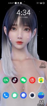 wallpaper˱ڼļ