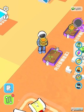 �ҵ����������޳�Ʊ��