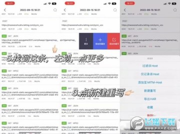 stormsnifferץ������