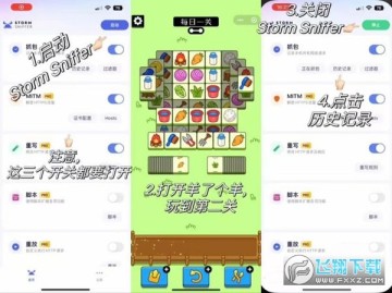 stormsnifferץ������