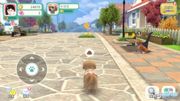 �λ�С�����°汾