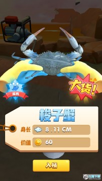 �Ϻ����������