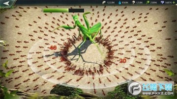 小小蚁窝 小小蚁窝