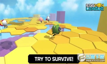 ����eggmonleague����