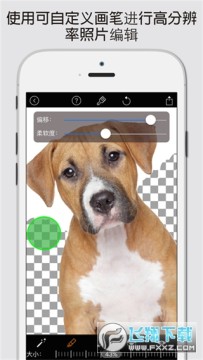 magic keraser抠图软件 magic keraser抠图软件