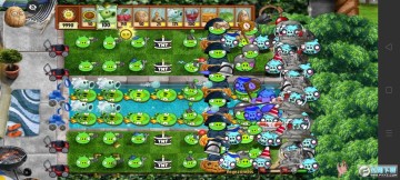 PvZдʵС����