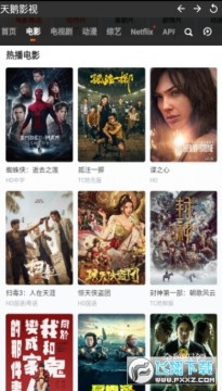 天鹅影视去广告版 天鹅影视去广告版