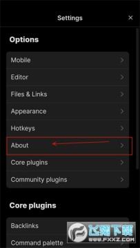Obsidian官方中文版 Obsidian官方中文版