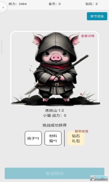 һ����С���￳�����޽����ʯ��