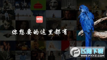 ����TV2024���°�