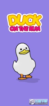 Duck RunܿСϷ